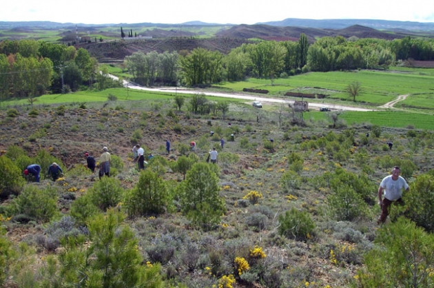 Jornada medioambiental anterior