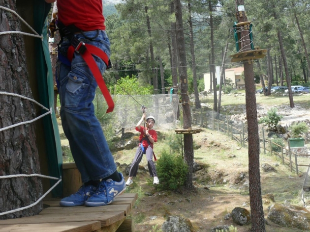 El recorrido se realiza entre pinos