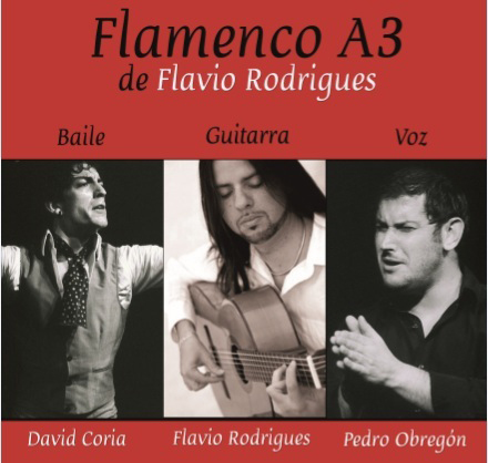 Cartel del concierto