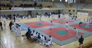 Campeonato de Judo