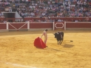 Castella en su primer toro