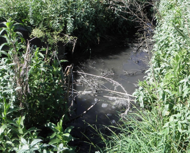Vertido en Casarejos