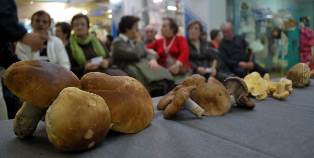 La micología, protagonista en Espolón 10