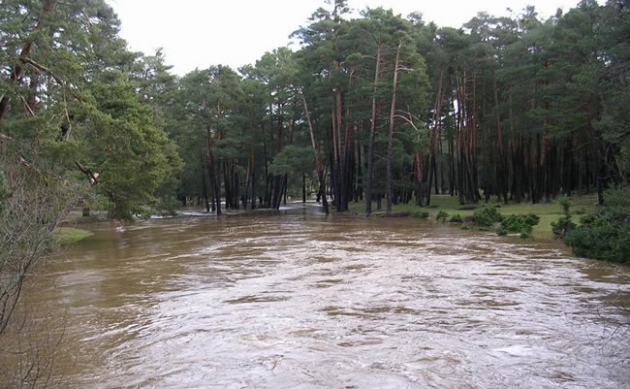 El río Duero se desborda a su paso por el municipio de Covaleda
