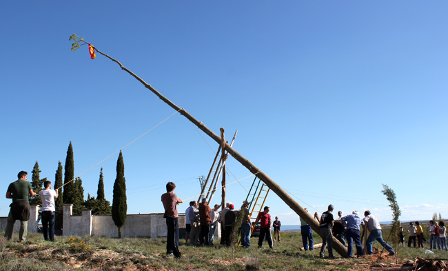 Izada del chopo en Torlengua