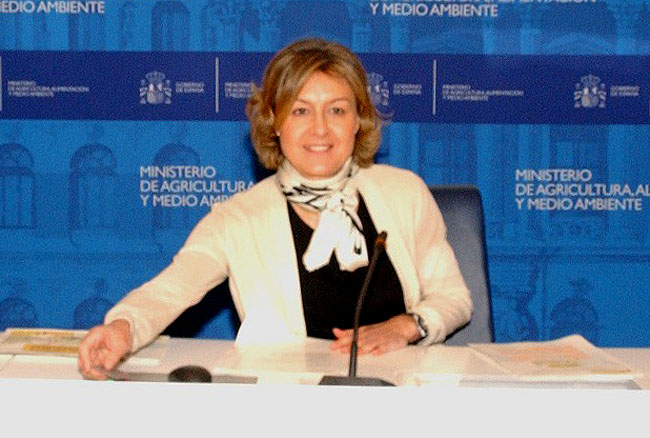 Tejerina en la presentación del plan