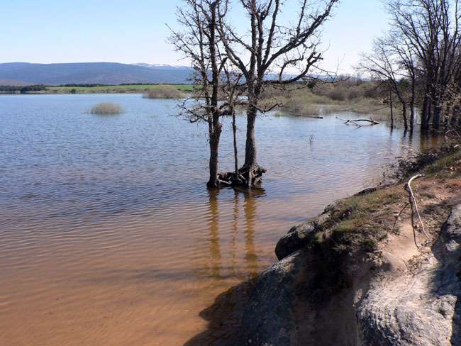 En Herreros, el agua llega hasta el robledal de la zona recreativa