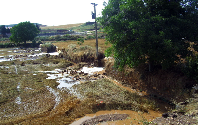 Zona de Valverde de Ágreda.