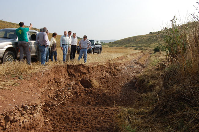 Impresionante correntía en un finca de cereal