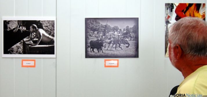Fotos premiadas
