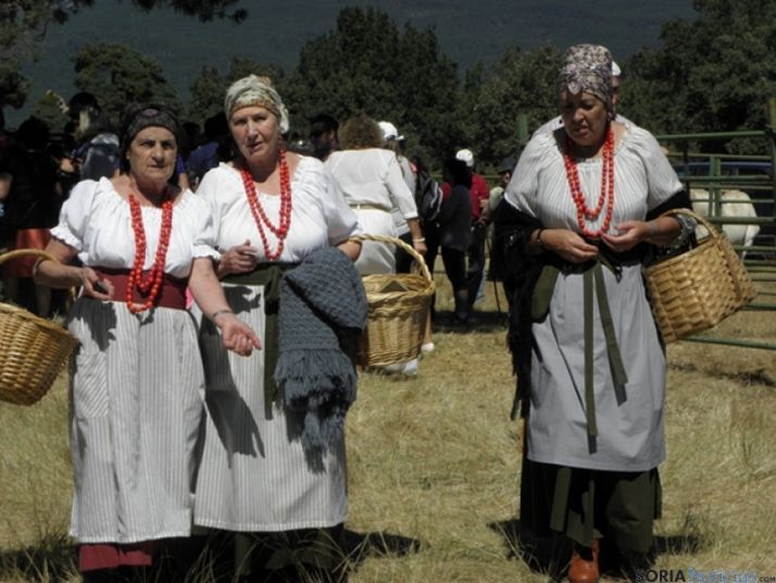 Amplia presencia de ganado vacuno y caballar en la X Feria Ganadera de Covaleda