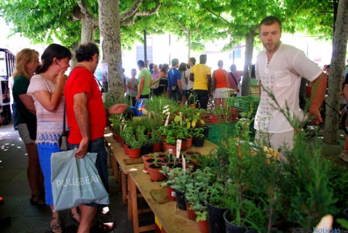 Este sábado, una edición más del Mercado Ecológico de Soria