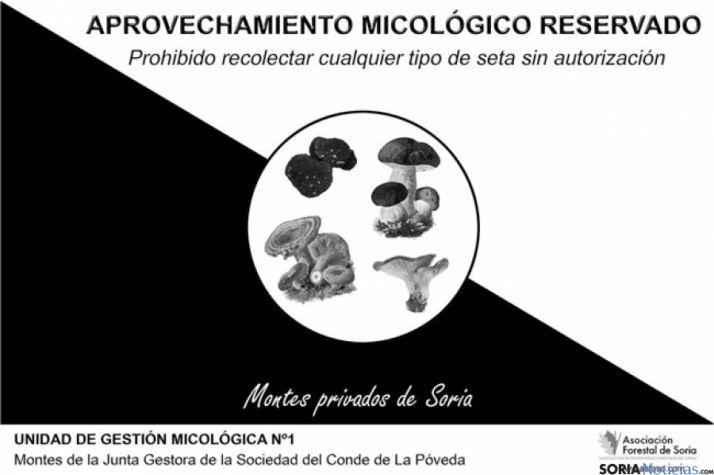 asfoso-regulacion micologica