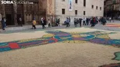Dani Mallo despeja