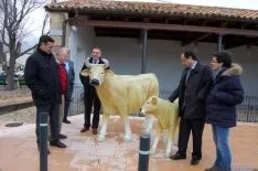 Actuación en Sotillo del Rincón/ Dip