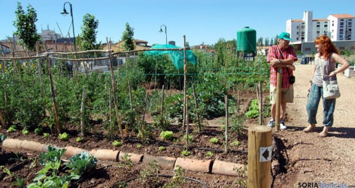 La concejal de medio ambiente conversa con un hortelano en La Barriada.