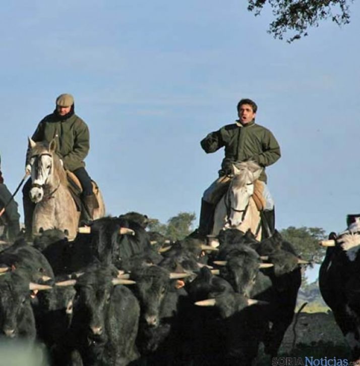 Victorino Martín García