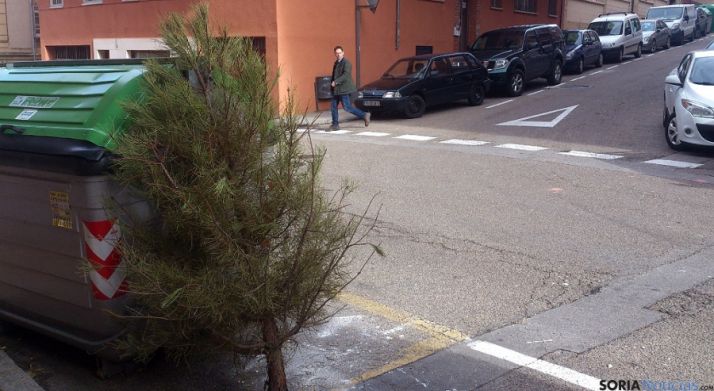 Árbol navideño abandonado en la calle Cortes.