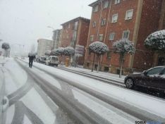 Soria nevada
