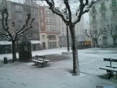 Soria nevada