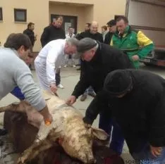 Jornada de la matanza en Carbonera