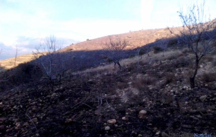 Una de las zonas devastadas por el fuego.