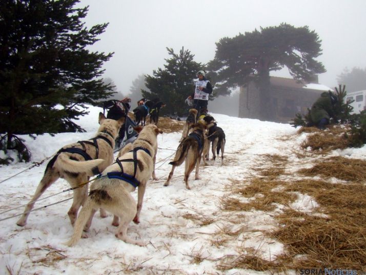 Lugar donde pasaron la noche mushers y perros