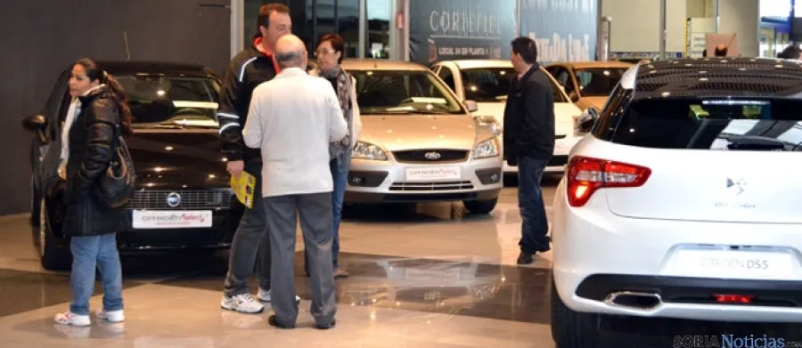 La exposición estará todo el fin de semana