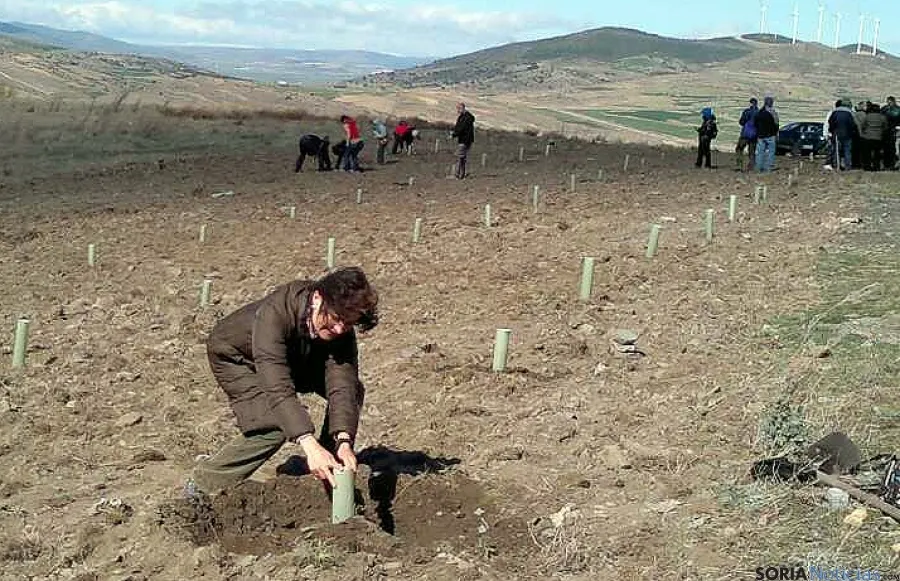 Una de las quintas plantando su árbol.