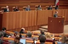 Pleno de las Cortes de Castilla y León.