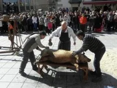 Matanza tradicional del cerdo.