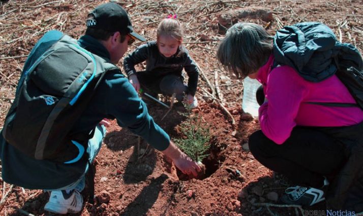 La plantación se efectuó en el Pereginal.