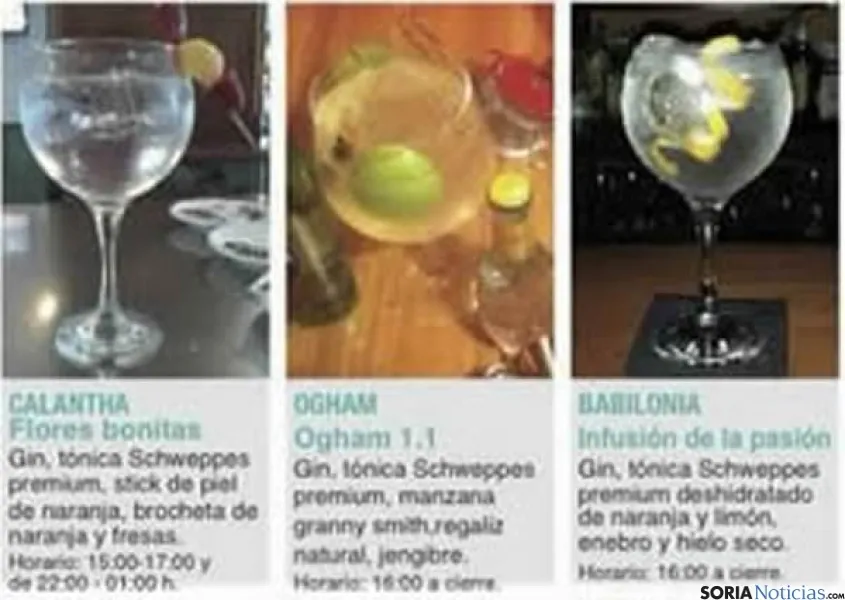 Foto 7 - Gu&iacute;a de las bebidas que se ofrecen en la Semana del Gin&Tonic