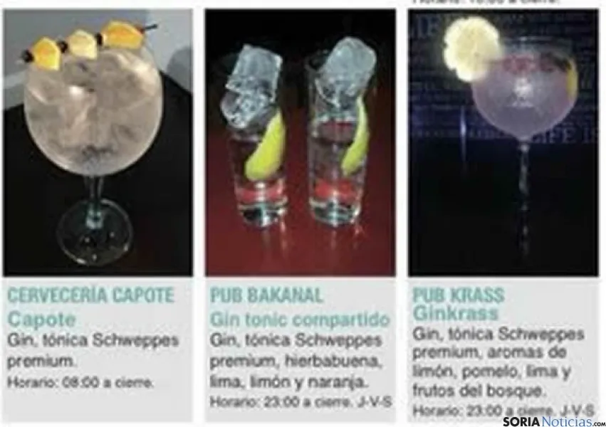 Foto 2 - Gu&iacute;a de las bebidas que se ofrecen en la Semana del Gin&Tonic