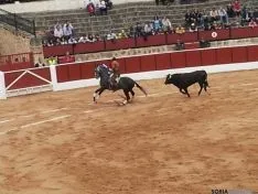 Manuel Manzanares