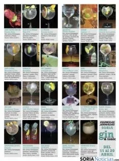 Guia de Gin&Tonic