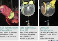 Foto 8 - Gu&iacute;a de las bebidas que se ofrecen en la Semana del Gin&Tonic