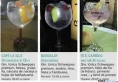 Foto 6 - Gu&iacute;a de las bebidas que se ofrecen en la Semana del Gin&Tonic