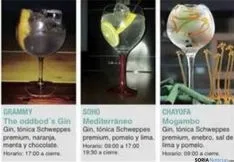 Foto 5 - Gu&iacute;a de las bebidas que se ofrecen en la Semana del Gin&Tonic
