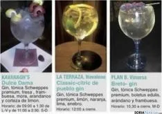 Foto 3 - Gu&iacute;a de las bebidas que se ofrecen en la Semana del Gin&Tonic