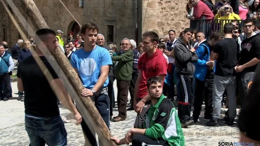 Pingada del Mayo/M-Audiovisuales