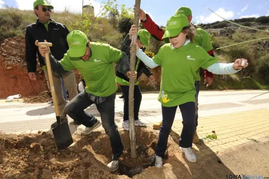 Día del Voluntariado en Soria