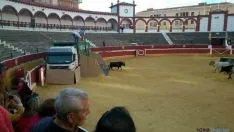 Novillos de San Juan 2014