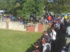 Novillos de San Juan 2014