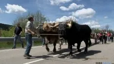 Pingada del Mayo/M-Audiovisuales