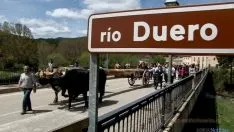 Pingada del Mayo/M-Audiovisuales