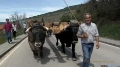 Pingada del Mayo/M-Audiovisuales