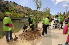 Día del Voluntariado en Soria
