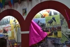 Catapán 2014