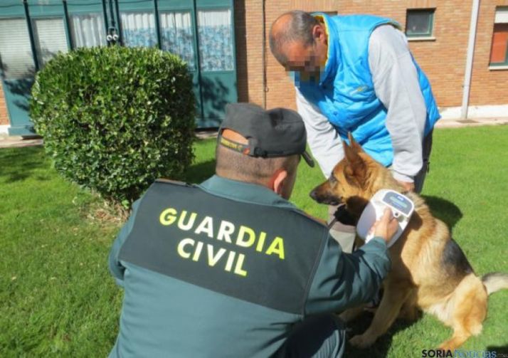 Campaña canina de la Guardia Civil